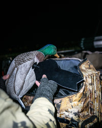 Lucky Duck XHDi